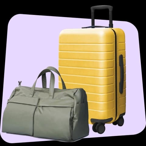 Luggage dfo online